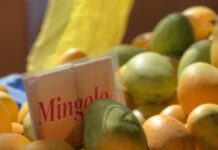 Expo Mango 2026 culmina con éxito y reafirma a Baní como Capital del Mango
